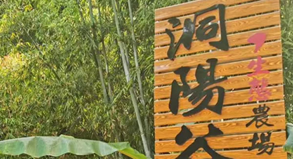 廣有合頁2019踏春拓展--經歷中成長，成長中經歷