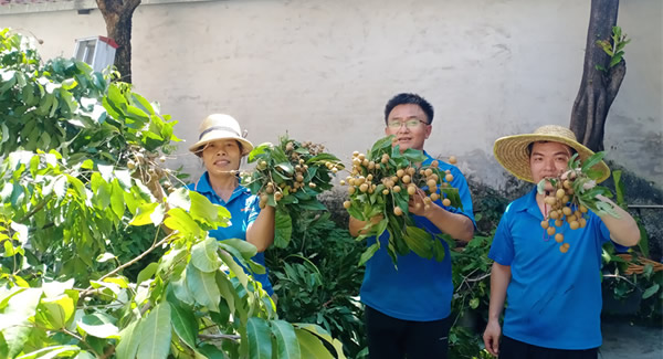 摘一顆龍眼，品一份團(tuán)圓，謝一次饋贈(zèng) | 廣有五金&東莞合頁(yè)?